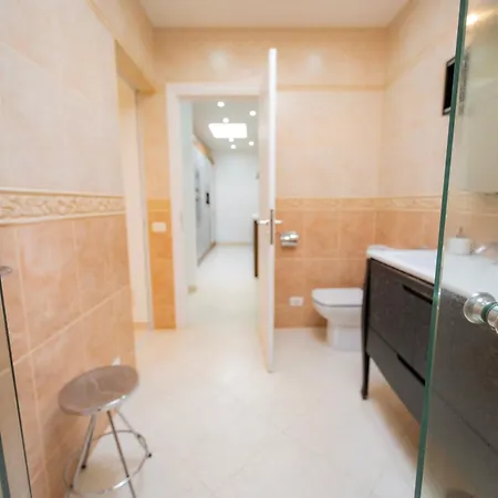 Seagulls Melody C-208