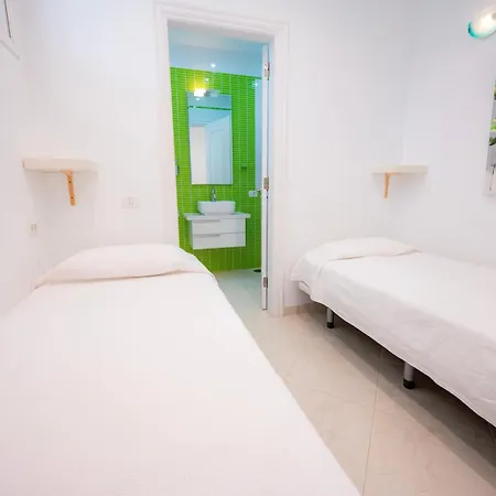 Seagulls Melody C-208 *