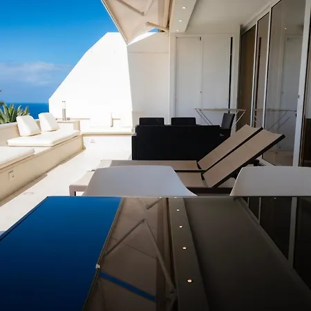 Seagulls Melody C-208