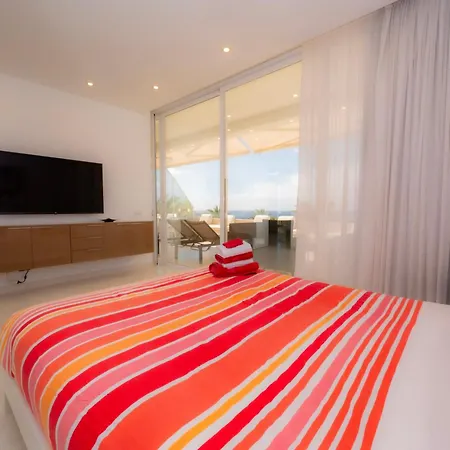 Seagulls Melody C-208 *