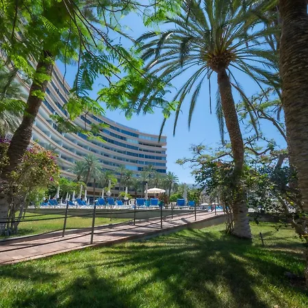 Seagulls Melody C-208 * Адехе