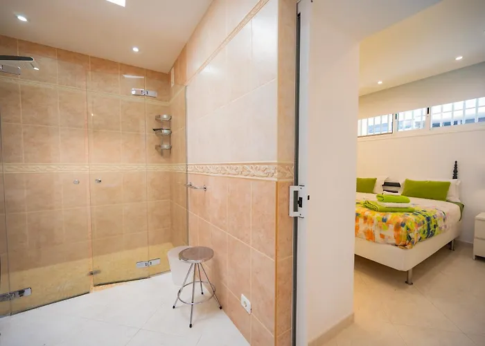 Seagulls Melody C-208 * 阿德耶