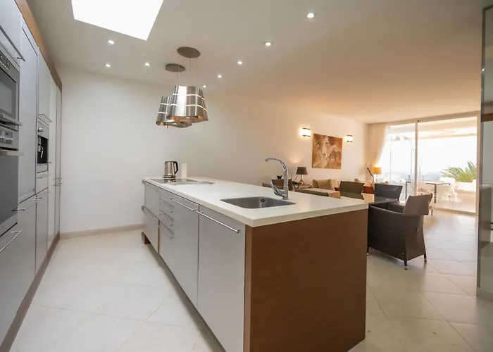 Seagulls Melody C-208