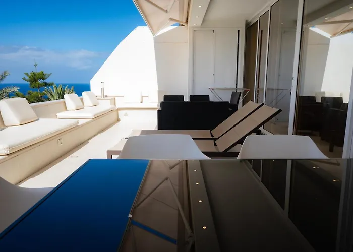 Seagulls Melody C-208