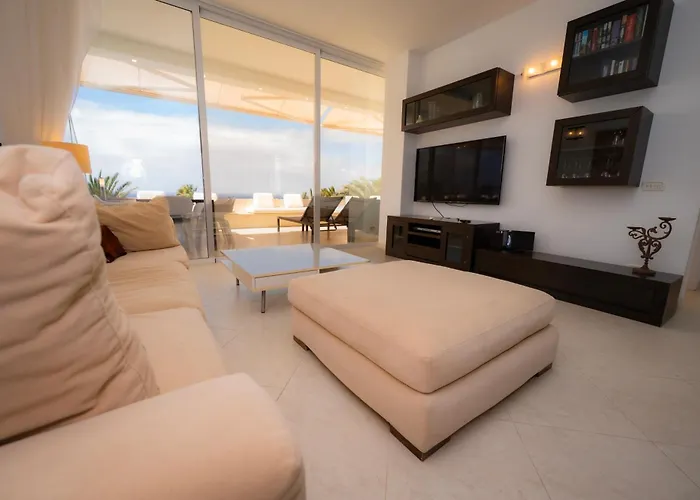 Seagulls Melody C-208 阿德耶