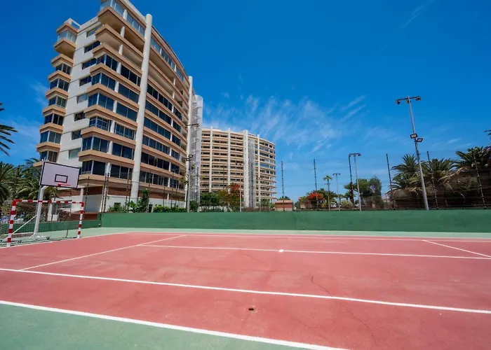 Seagulls Melody C-208 *