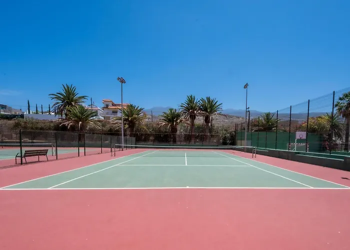 Seagulls Melody C-208 Адехе