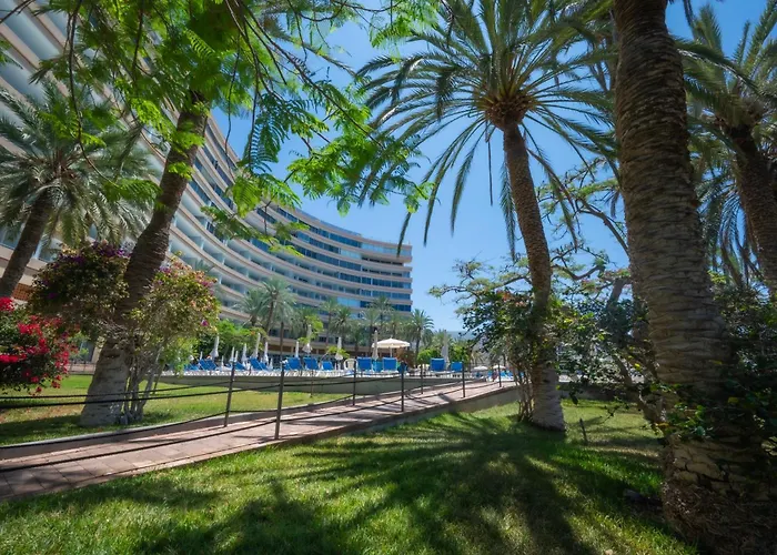 Seagulls Melody C-208 * 阿德耶