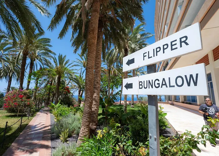 Seagulls Melody C-208