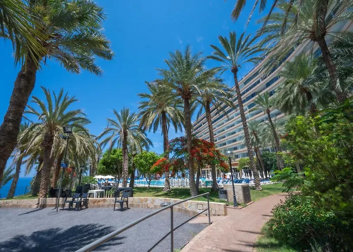 Apartman Seagulls Melody C-208