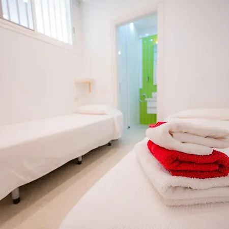 Seagulls Melody C-208 아데제