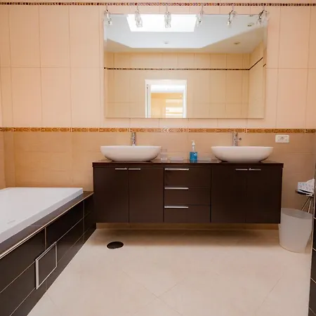 Seagulls Melody C-208 아데제