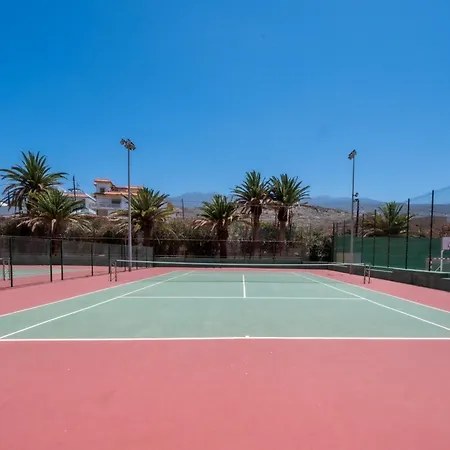 Seagulls Melody C-208 아데제