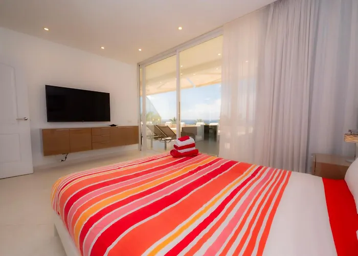 Seagulls Melody C-208 *