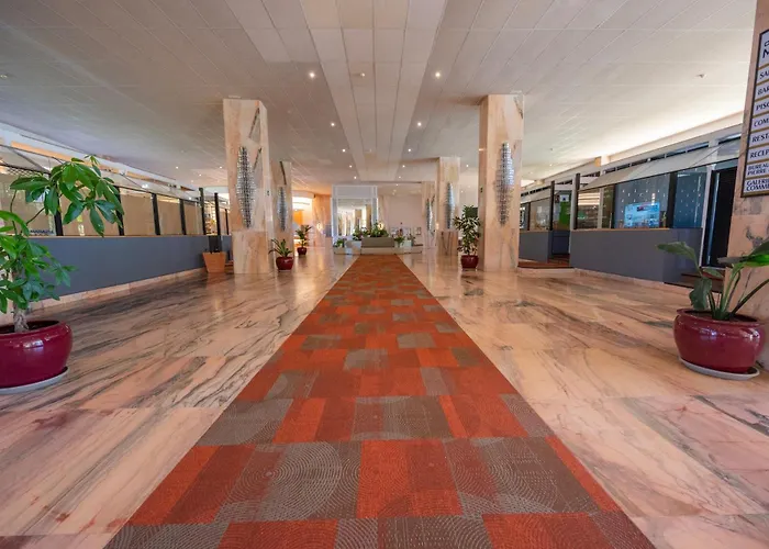 Seagulls Melody C-208 Apartament *